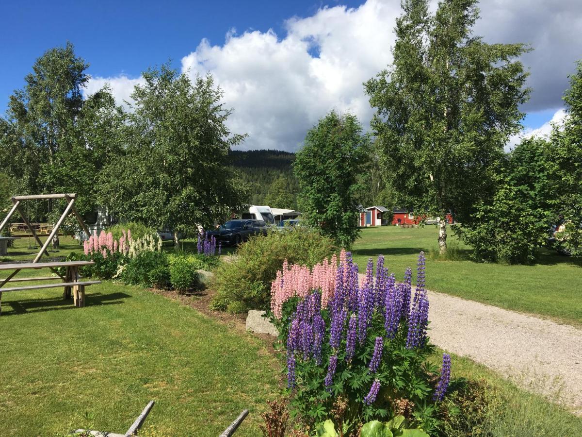 Alevi Camping Stöllet Eksteriør billede