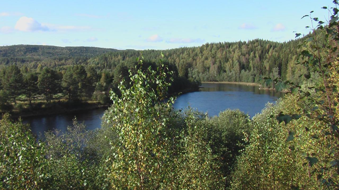 Alevi Camping Stöllet Eksteriør billede